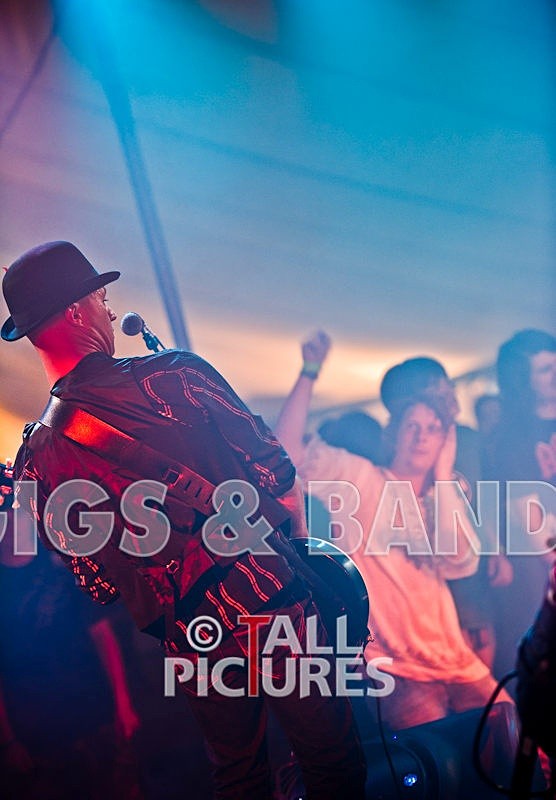 Peppered Ant Legs-63 - PEPPERED ANT LEGS