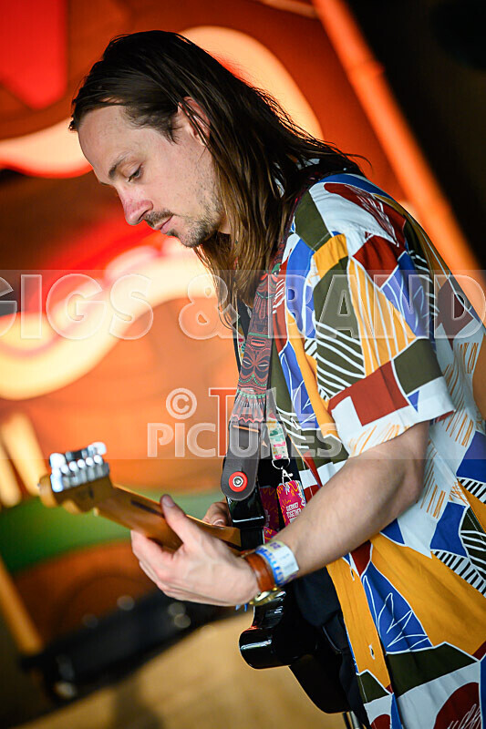 Arctic Donkeys-13 - ARCTIC DONKEYS