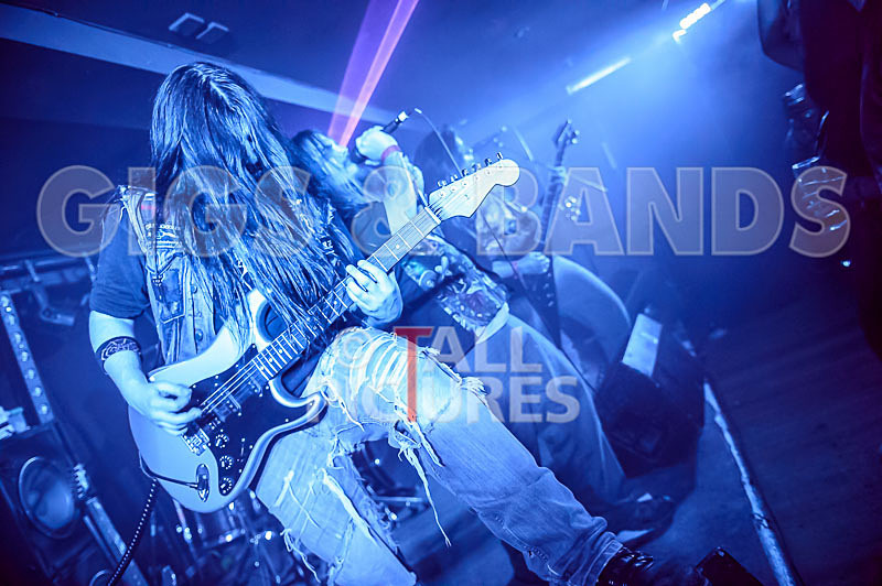 Stone Em All-264 - STONE EM ALL