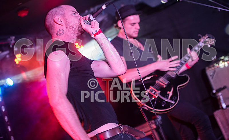 Heymoonshaker-48 - HEYMOONSHAKER