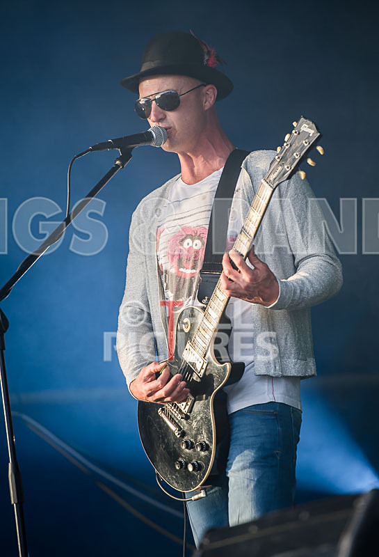 Peppered Ant Legs-259 - PEPPERED ANT LEGS