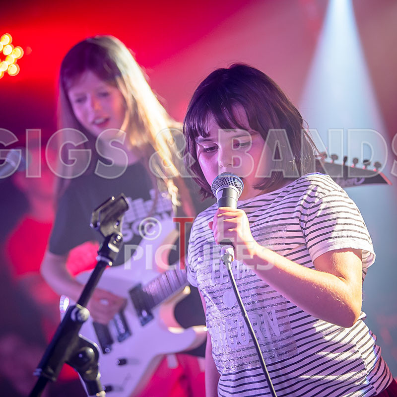 The Flaming Flamingos-27 - THE FLAMING FLAMINGOES