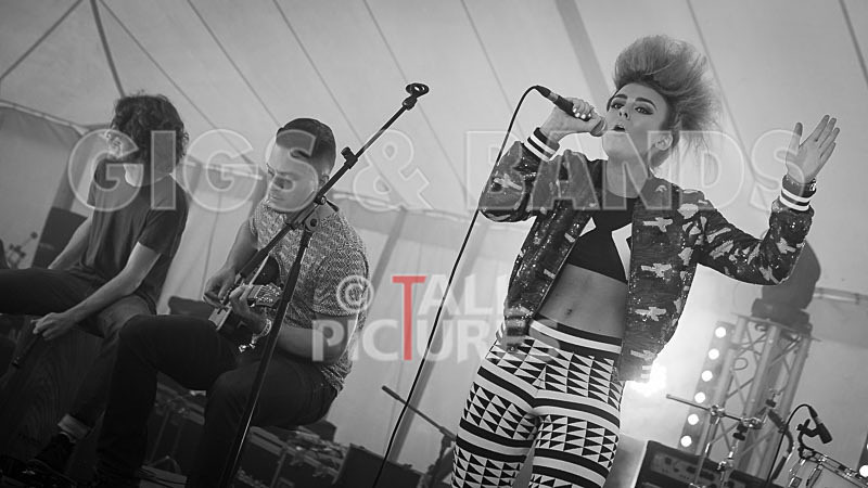 Tallia Storm-12 - TALLIA STORM