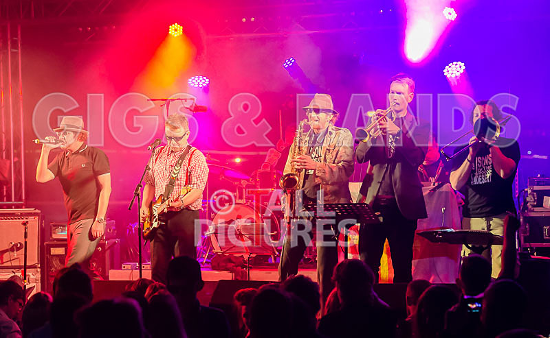 Sons of the Desert-269 - SONS OF THE DESERT