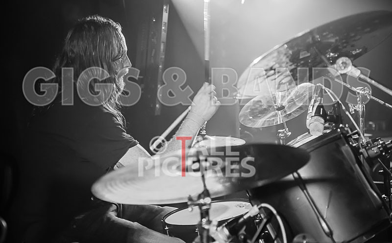 Demise of Sanity-100 - DEMISE OF SANITY