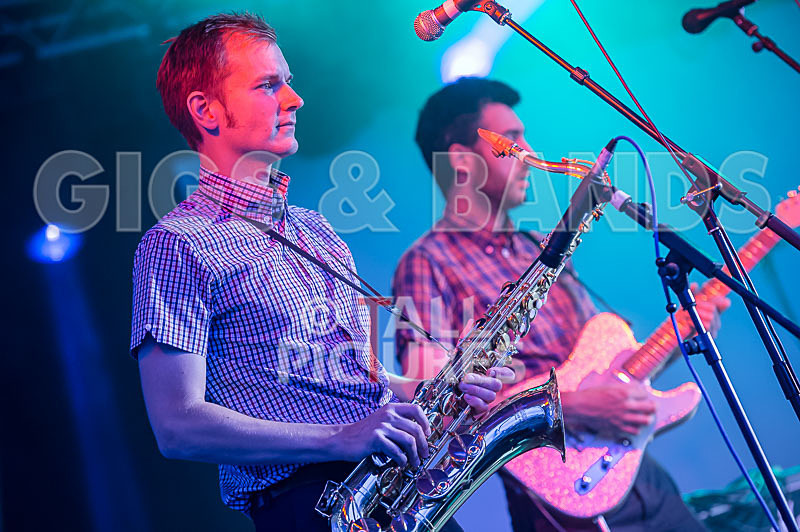 The Delegators-12 - THE DELEGATORS