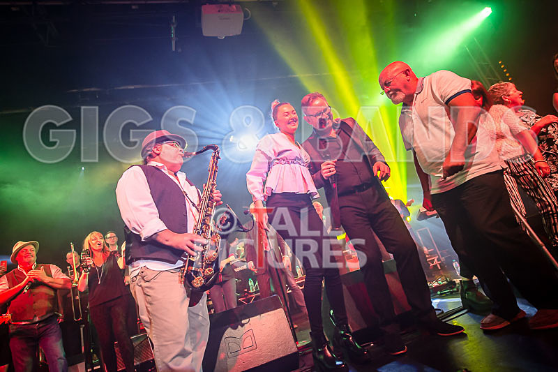 Harry Dean Junior and the New Breed-6 - HARRY DEAN JUNIOR AND THE NEW BREED