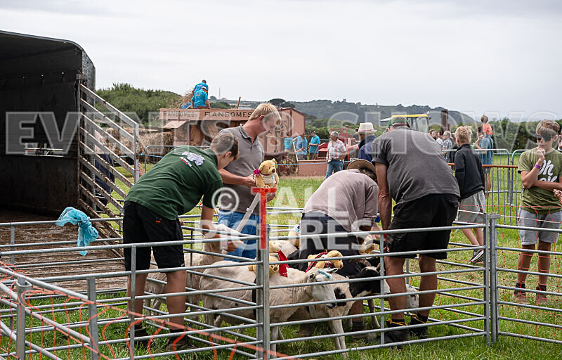 Guernsey Agricultural Show 2021-94 - GUERNSEY AGRICULTURAL SHOW 2021