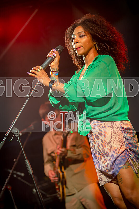 Hollie Cook-22 - HOLLIE COOK