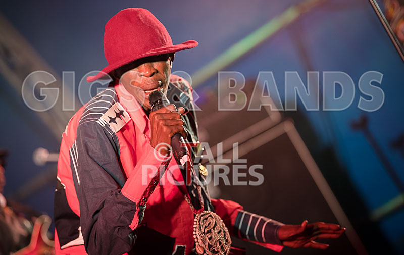 Vale Earth Fair 2017_PRESS EDIT-4 - VALE EARTH FAIR 2017_THE PRESS EDIT