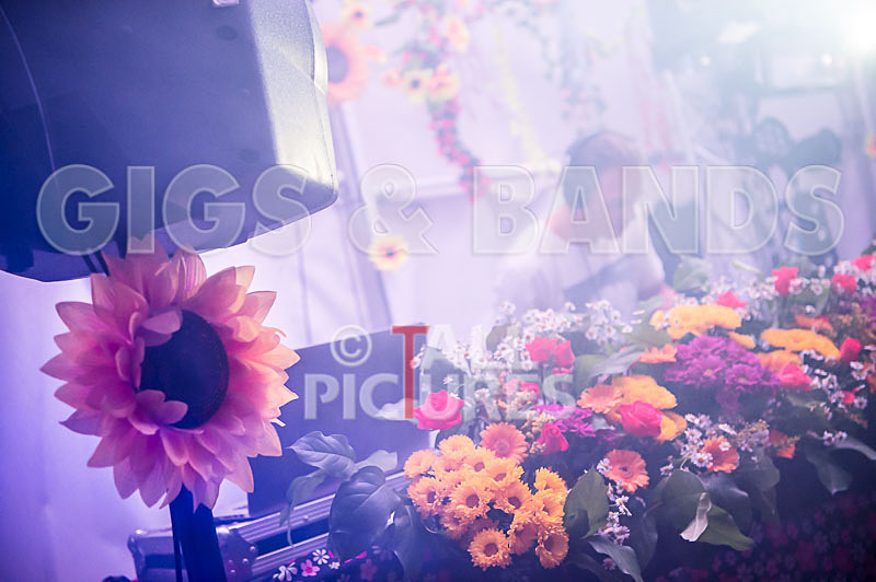 Jersey Live 2016_Scene-78 - JERSEY LIVE 2016_THE SCENE