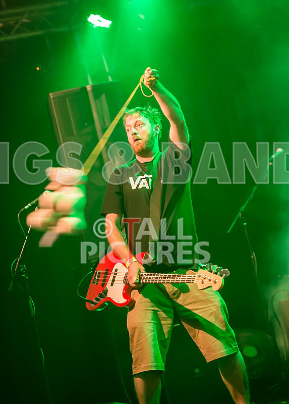 Spunge-82 - [spunge]