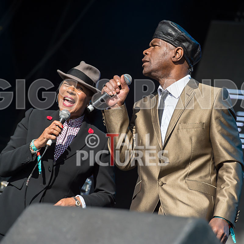 The Selecter-79 - THE SELECTER
