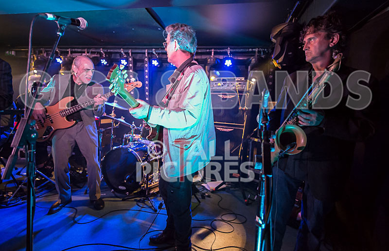 The Blockheads-77 - THE BLOCKHEADS