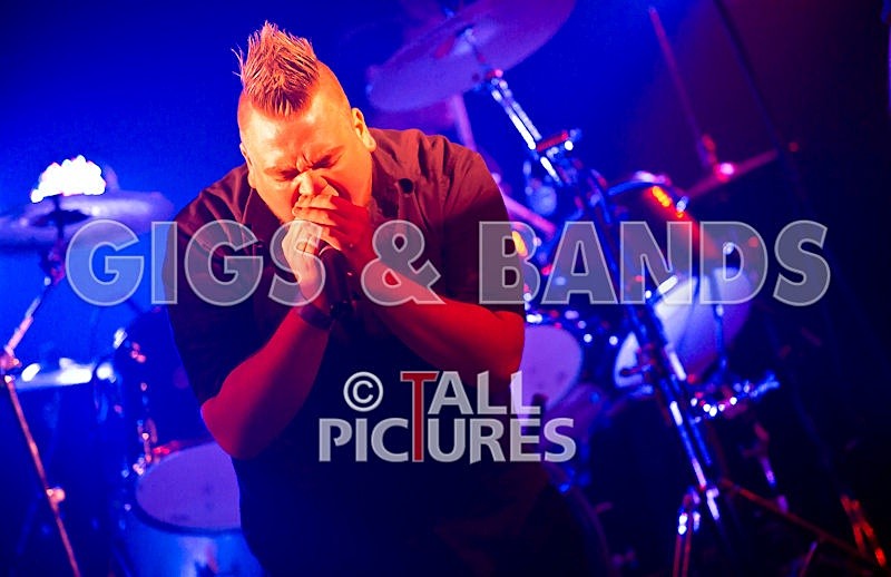 Dead Wing-10 - DEAD WING