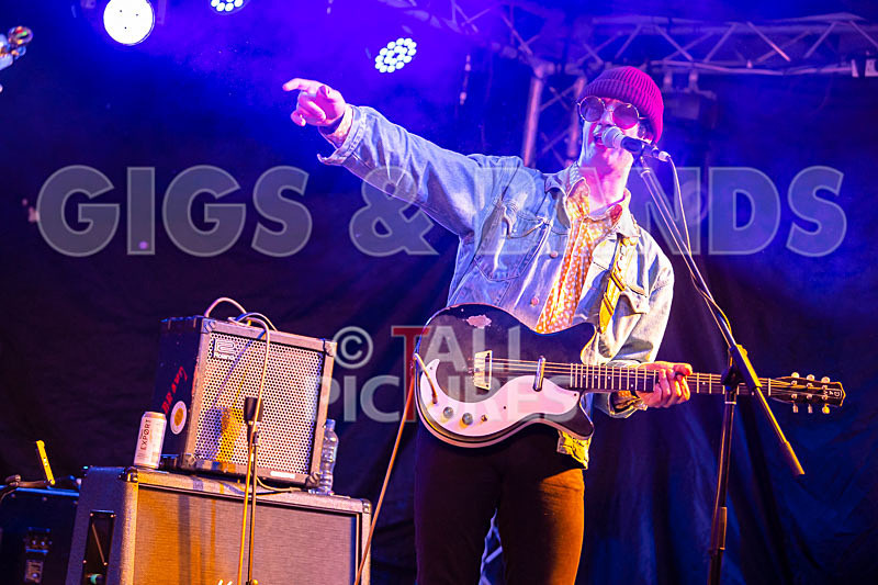 Surfin Birds-47 - SURFIN' BIRDS