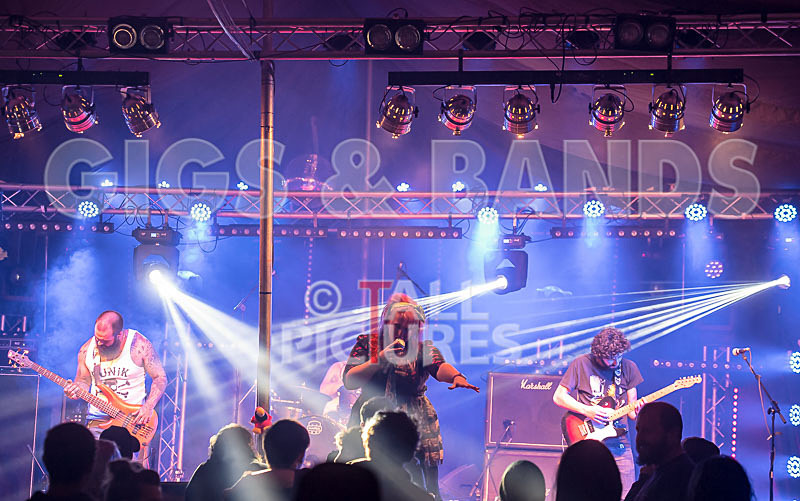 Static Alice-430 - STATIC ALICE