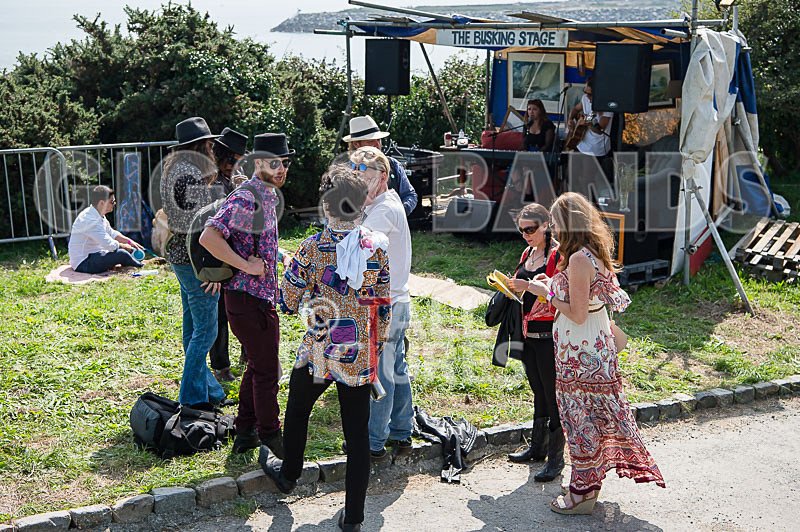 Vale Earth Fair 2017_SCENE-3 - VALE EARTH FAIR 2017_THE SCENE