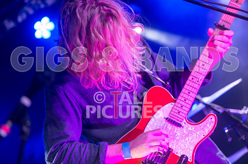 Tadhg Daly-41 - TADHG DALY