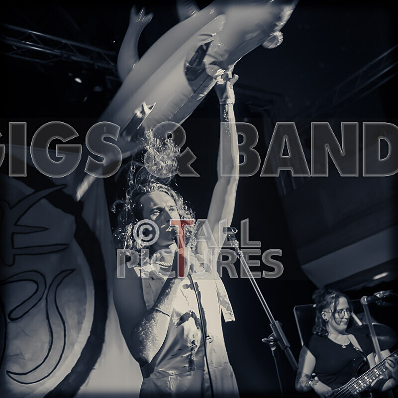 The Pips-26 - THE PIPS