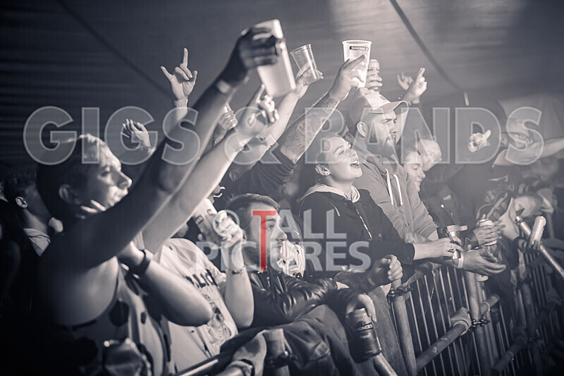 Maiden Guernsey-249 - MAIDEN GUERNSEY