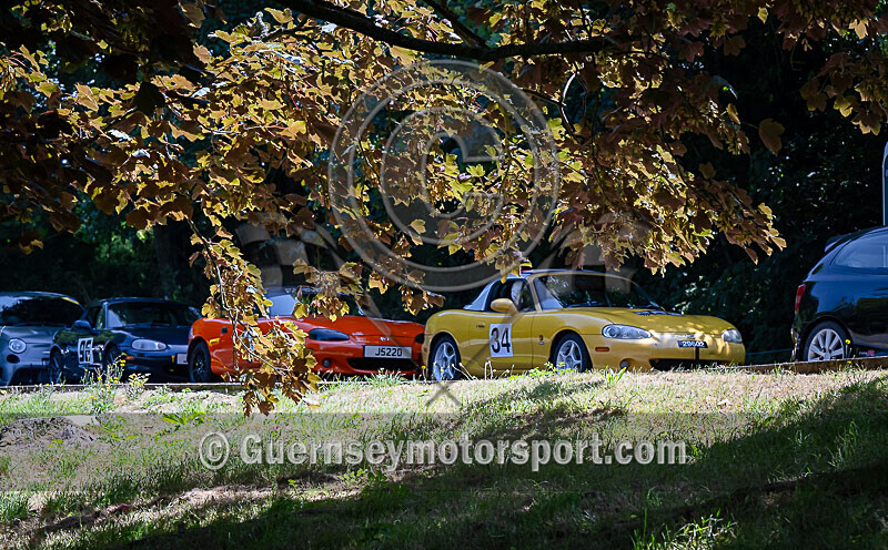 Guernsey National 2022_THE SCENE-25 - GUERNSEY NATIONAL 2022_THE SCENE