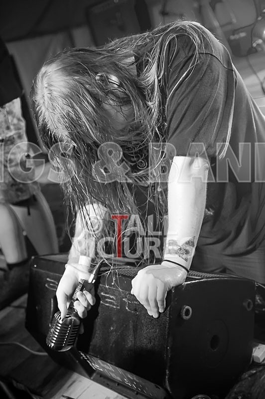 Stone Em All-83 - STONE EM ALL