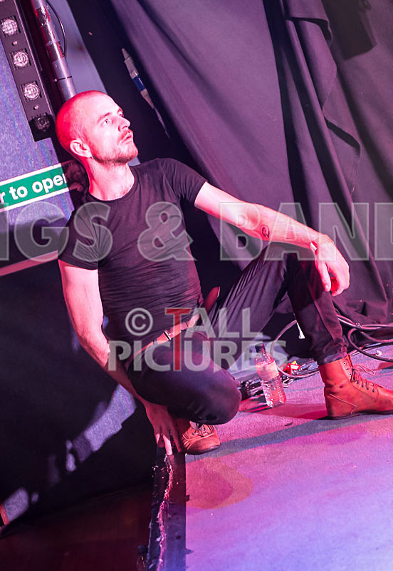 Heymoonshaker-50 - HEYMOONSHAKER