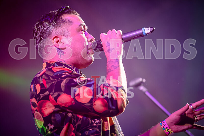 The King Blues-14 - THE KING BLUES