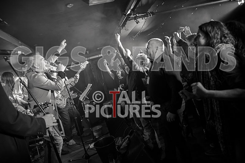 Alfie Bartons 25th Anniversary Gig-53 - ALFIE BARTON'S 25th ANNIVERSARY SPECIAL
