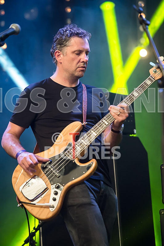 The Cryptics-70 - THE CRYPTICS