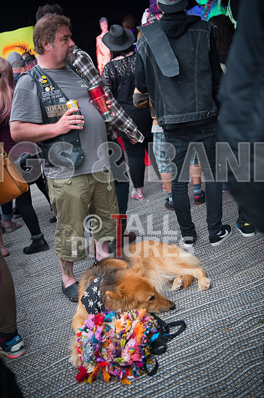 Chaos_People Peace Tent-31 - CHAOS 2016_THE PEOPLE & THE PEACE TENT
