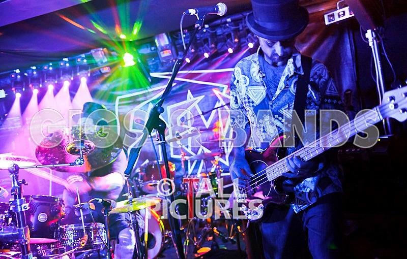 Peppered Ant Legs-138 - PEPPERED ANT LEGS