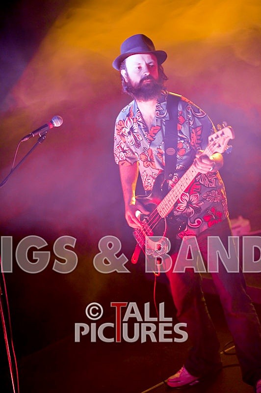 Peppered Ant Legs-15 - PEPPERED ANT LEGS at RoA-3