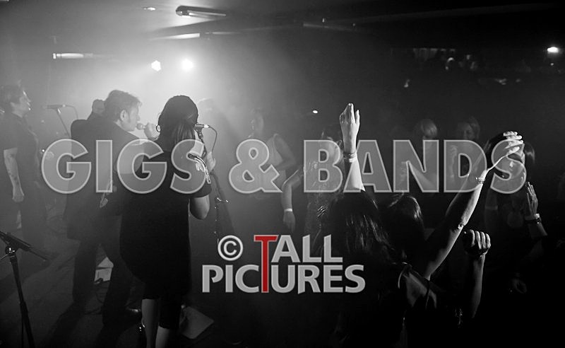 King Rat and the Soul Cats-92 - KING RAT & THE SOUL CATS