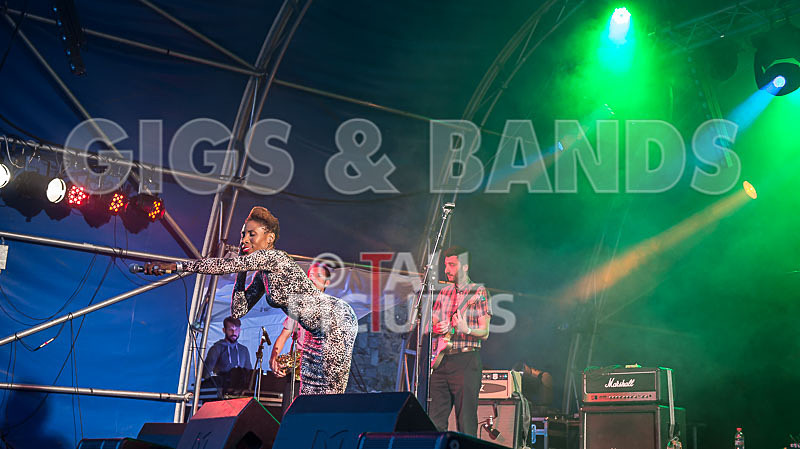 The Delegators-21 - THE DELEGATORS