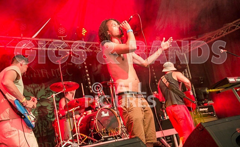 Chaos 2013_Harlequin Knights-21 - HARLEQUIN KNIGHTS