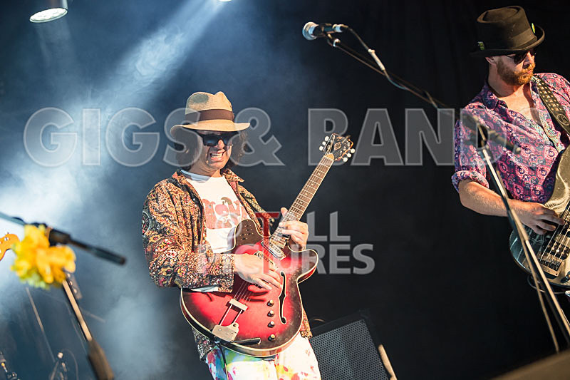 Surfin Birds-4 - SURFIN' BIRDS