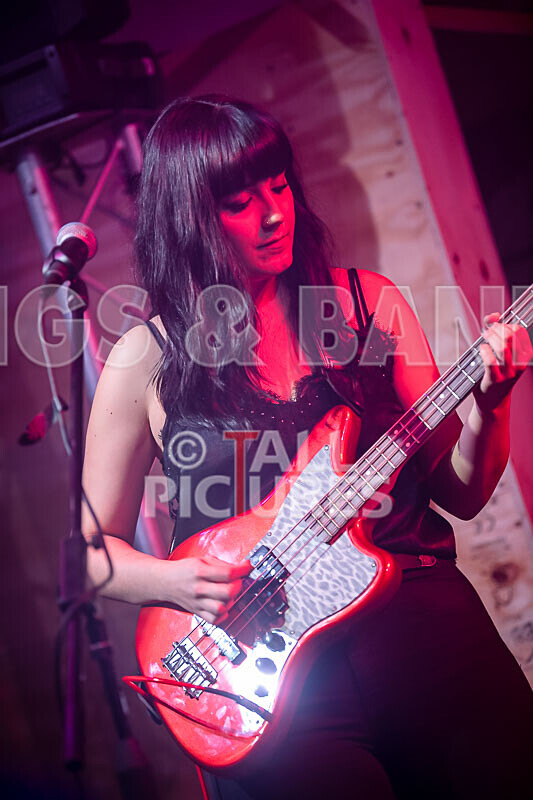 The Tarantulips-15 - THE TARANTULIPS