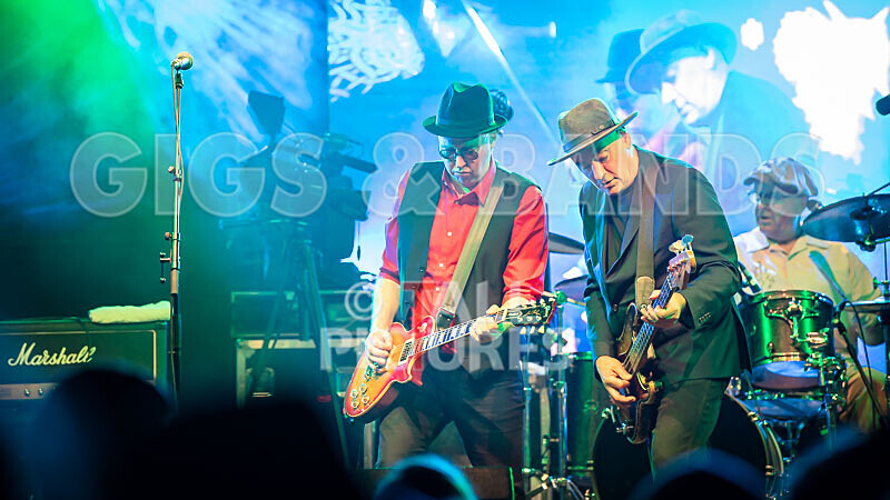 Ruts DC-36 - RUTS DC