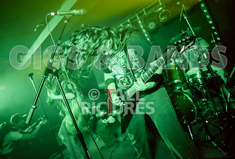 Stone Em All-207 - STONE EM ALL