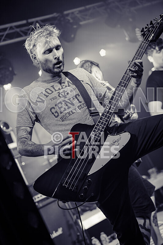 Granite Wolf-96 - GRANITE WOLF