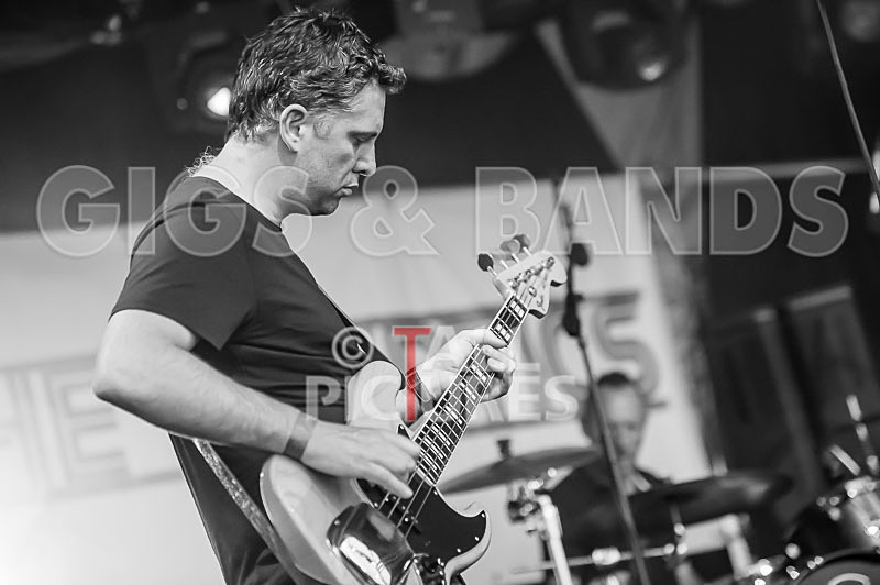 The Cryptics-48 - THE CRYPTICS