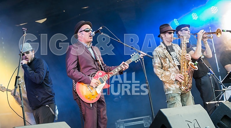 Sons of the Desert-221 - SONS OF THE DESERT