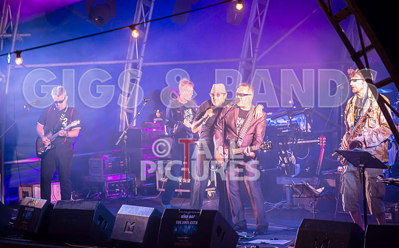 Sons of the Desert-333 - SONS OF THE DESERT