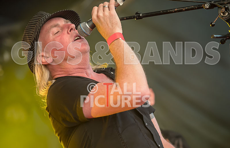 Frail Sincerity-23 - FRAIL SINCERITY