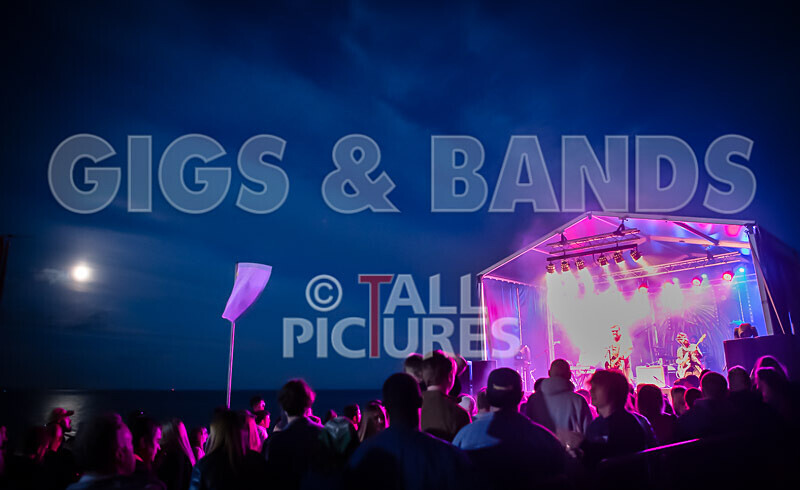 Honest Crooks-236 - HONEST CROOKS