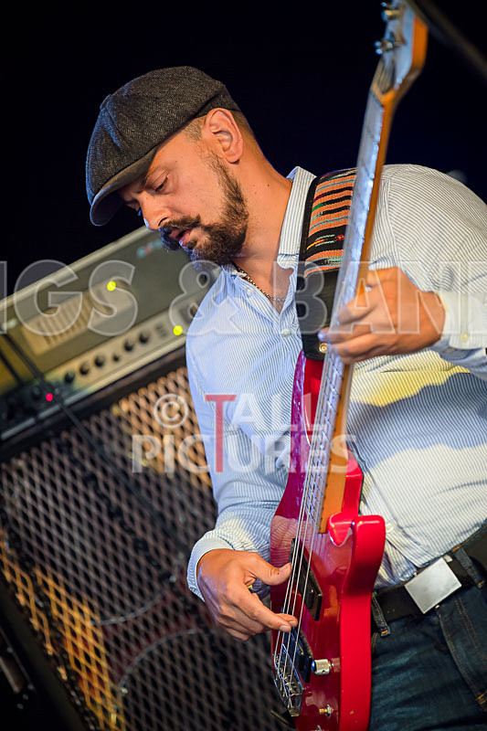 Rat Salad-18 - RAT SALAD