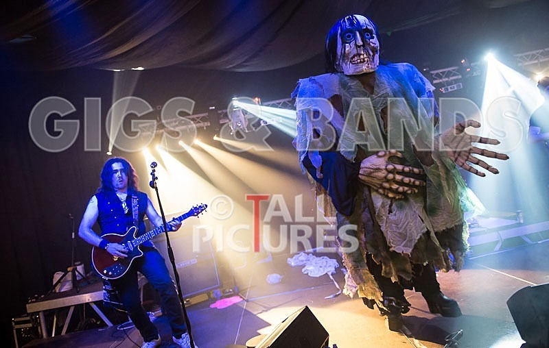 Gallus Cooper-57 - GALLUS COOPER