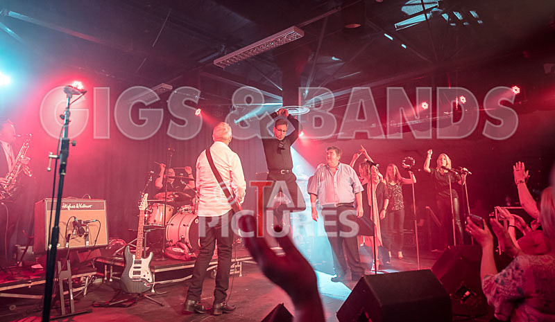 King Rat_30th Birthday Gig-96 - KING RAT AND THE SOUL CATS 30th BIRTHDAY